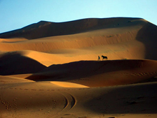 Morocco-Morocco-Magic of the South